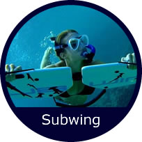 Subwing in Spain